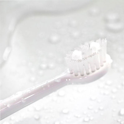 Spotlight Oral Care Cabezales de repuesto para el cepillo de dientes sónico