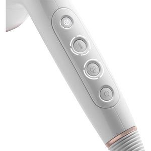Secador de pelo rapido Profesional T3 AireLuxe